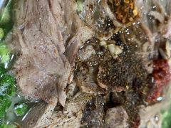 -攀枝花·任德琼·盐边羊肉米线