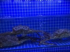 -方记海鲜大排档(乐山形象店)
