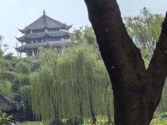 -桂湖森林公园