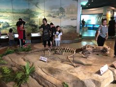 -自贡恐龙博物馆
