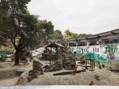 -成都动物园