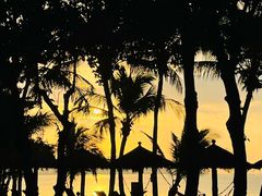 -三亚海棠湾万丽度假酒店