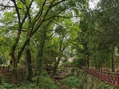 -素山寺森林公园