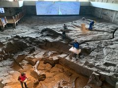 -自贡恐龙博物馆