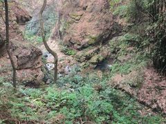 -南山植物园