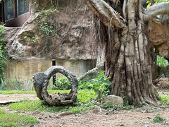 -清迈夜间动物园