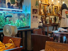 -懒鱼时光馆(沙坪坝店)