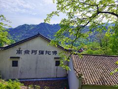 -九华山风景区