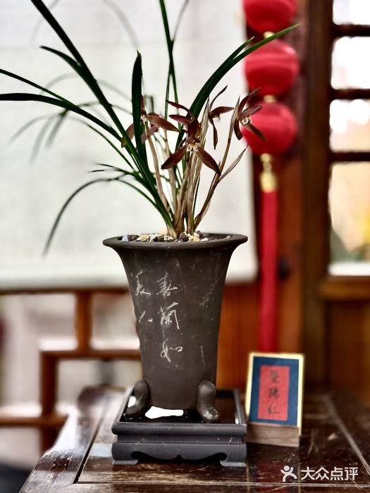 上海植物园-4号门售票处图片