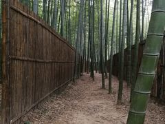 -陶祖圣境风景区