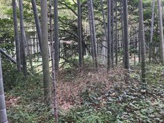 -黄公望隐居地
