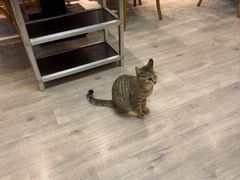 -吉友粥底火锅(方斜路店)