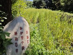 -黑龙江省森林植物园