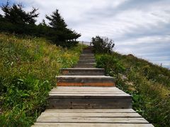 -白草畔自然风景区