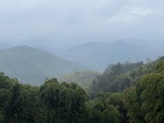 -莫干山风景区