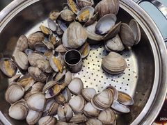 -天天鱼港·海鲜·鲅鱼水饺·招牌烤鸭(黄骅店)