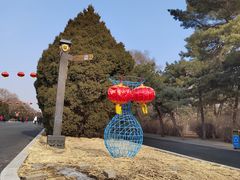 -北陵公园