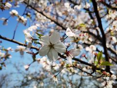 -长兴太湖图影湿地文化园