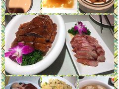 -南枝记