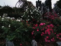 -人民公园(罗湖区)