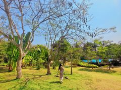 -中国科学院西双版纳热带植物园