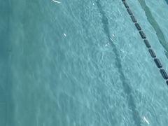 -上海潜殿潜水中心