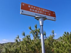 -清境桃源