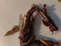 -福禧荟·海鲜自助