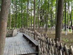 -乌镇东栅景区