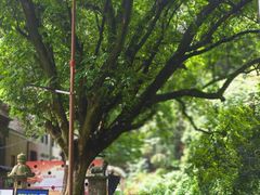 -飞霞风景名胜区