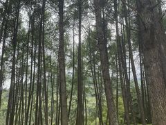 -硗碛藏寨·神木垒景区