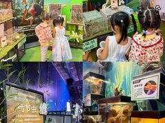 -正佳雨林生态植物园