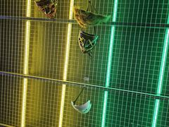 -暗楼·剧本杀·桌游