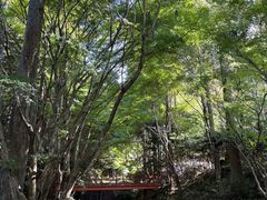 -三千院