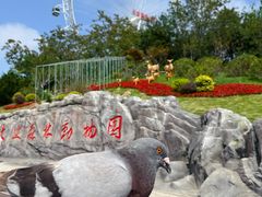 -大连森林动物园