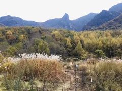 -秦岭风景区