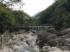 -东天目山风景区