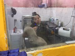 -狗不理喵子(百富路店)