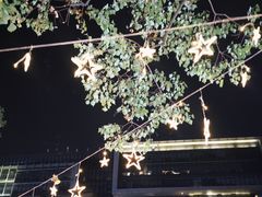 -日葵 大阪烧ひまり(仙霞路店)