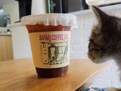 -SAFARI COFFEE