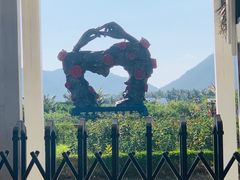 -亚龙湾国际玫瑰谷