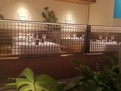 -桂满陇·海市蜃楼·黑金(国金店)