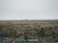 -南汇嘴观海公园