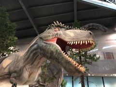 -湖南省地质博物馆