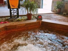 -深业半汤御泉庄温泉