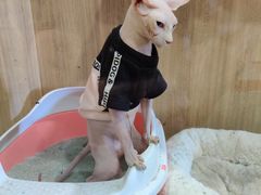 -藦茜花园宠物主题亲子互动体验馆(国顺东路店)