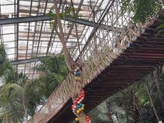 -呀路古热带植物园