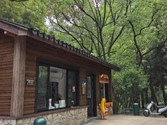 -东明山森林公园
