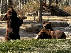-北京野生动物园