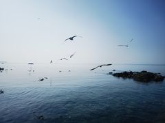 -银沙滩浴场
